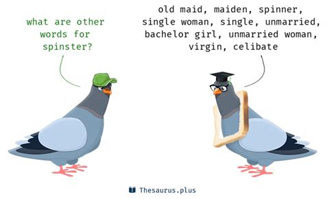another word for spinster
